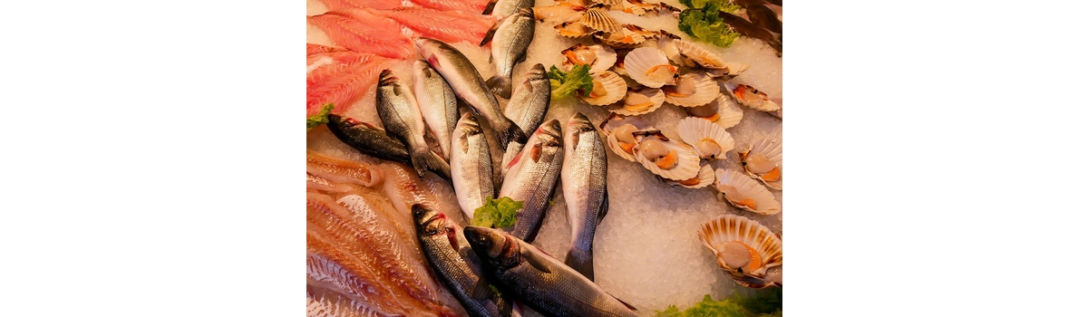 Морепродукты для здорового питания: виды, польза и способы приготовления